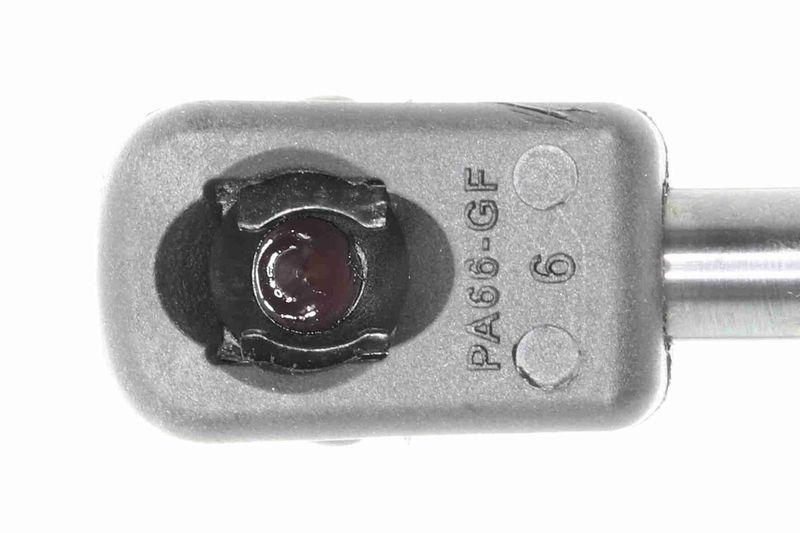 ACKOJA A38-0083 Gasfeder, Koffer-/Laderaum für NISSAN