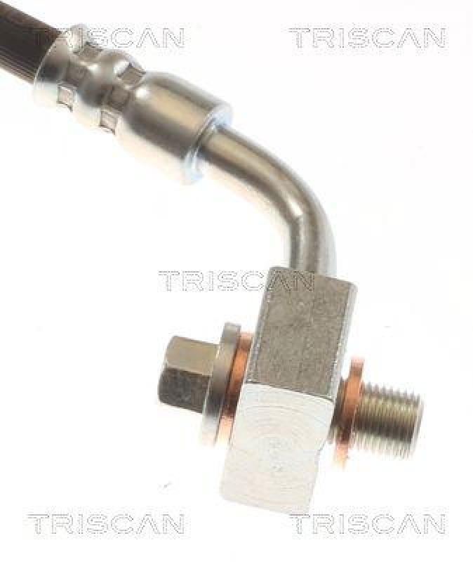 TRISCAN 8150 81206 Bremsschlauch Hinten f&uuml;r Tesla