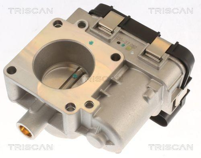 TRISCAN 8820 10005 Drosselklappen f&uuml;r Fiat, Ford