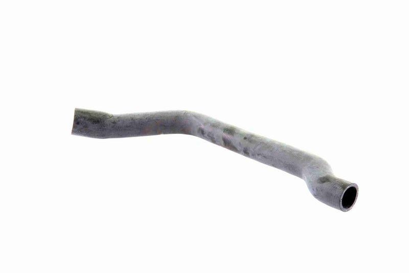 VAICO V20-2607 K&uuml;hlerschlauch K&uuml;hler, Anschlu&szlig; unten f&uuml;r MINI