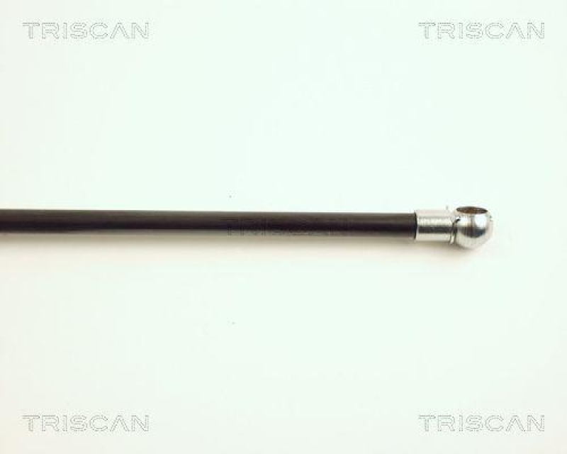 TRISCAN 8710 16215 Gasfeder Hinten für Ford Fiesta Iv