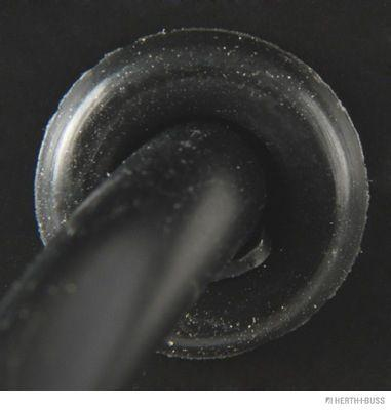 HERTH+BUSS 84750027 Kennzeichenleuchte 10-32 V, LED