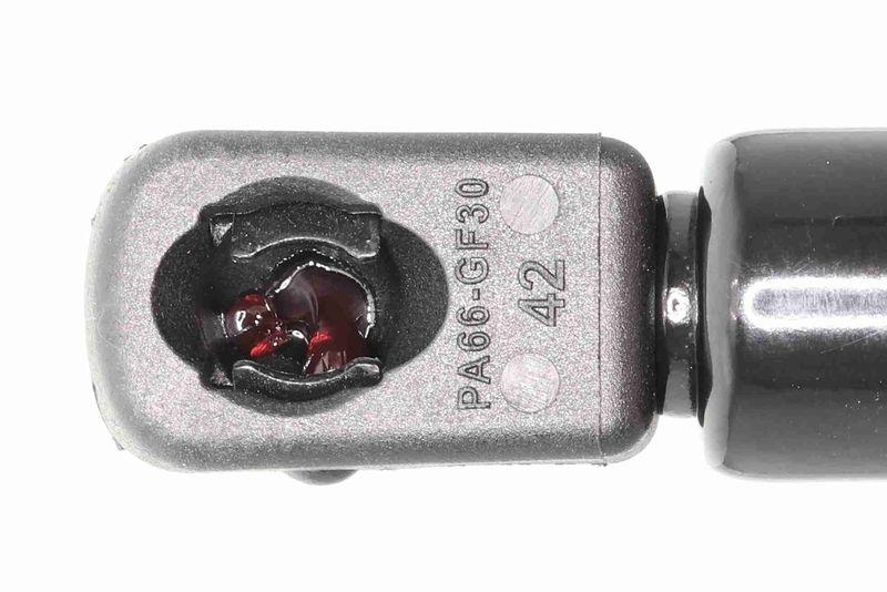 ACKOJA A32-0134 Gasfeder, Koffer-/Laderaum f&uuml;r MAZDA