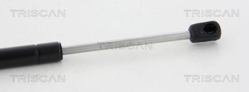TRISCAN 8710 17102 Gasfeder Vorne für Landrover