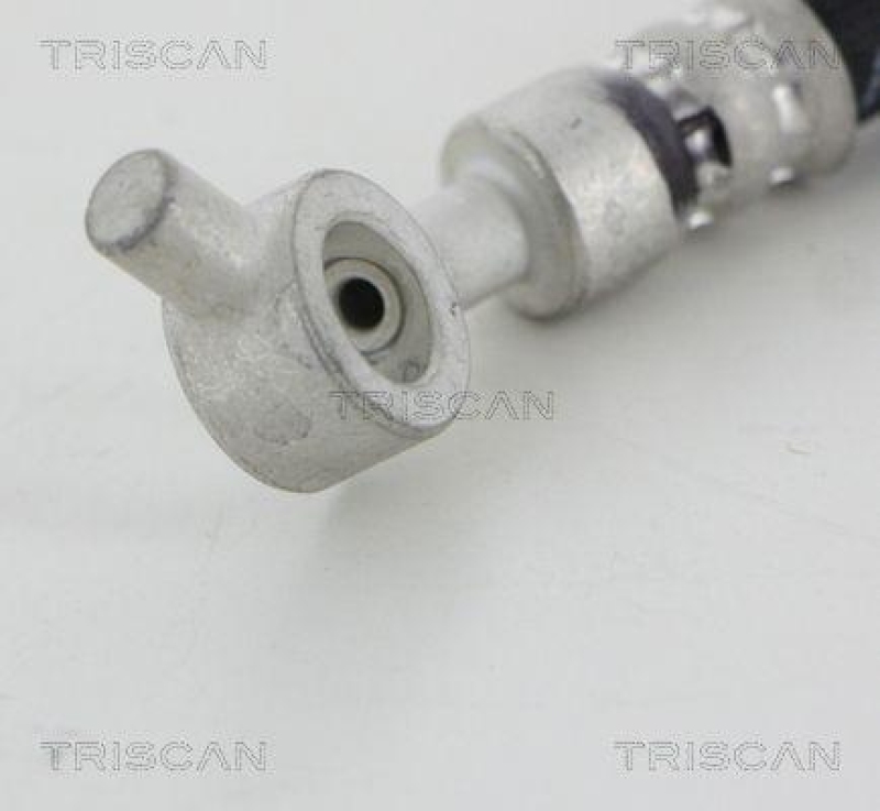 TRISCAN 8150 14321 Bremsschlauch Vorne f&uuml;r Nissan