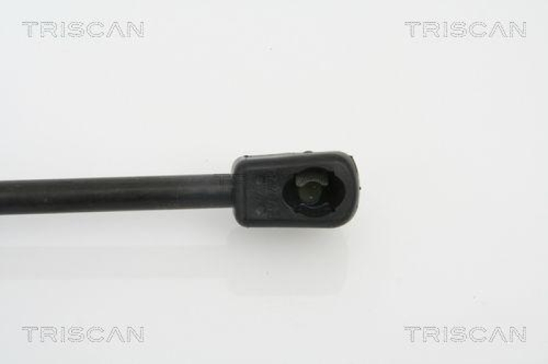TRISCAN 8710 18212 Gasfeder Hinten für Kia Picanto