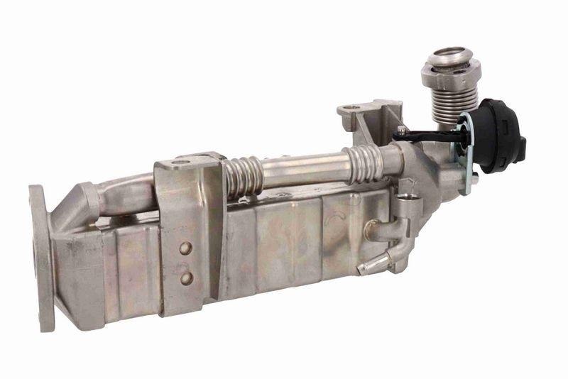 VEMO V20-63-0062 K&uuml;hler, Abgasr&uuml;ckf&uuml;hrung Wassergek&uuml;hlt, ohne Agr-Ventil f&uuml;r BMW