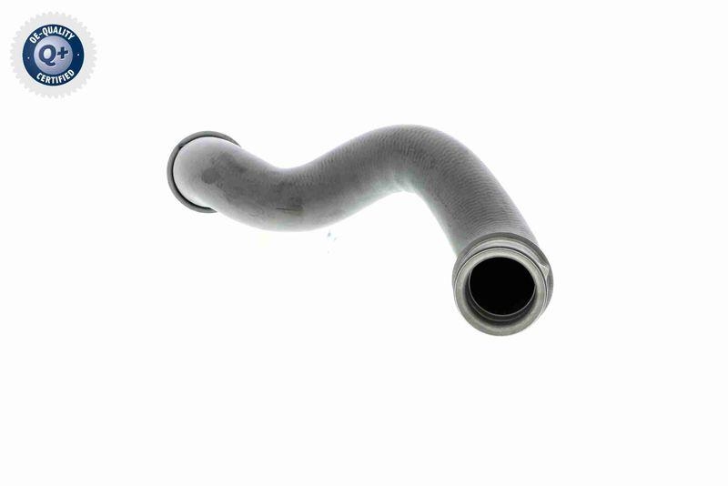 VAICO V30-2225 K&uuml;hlerschlauch rechts, unten f&uuml;r MERCEDES-BENZ