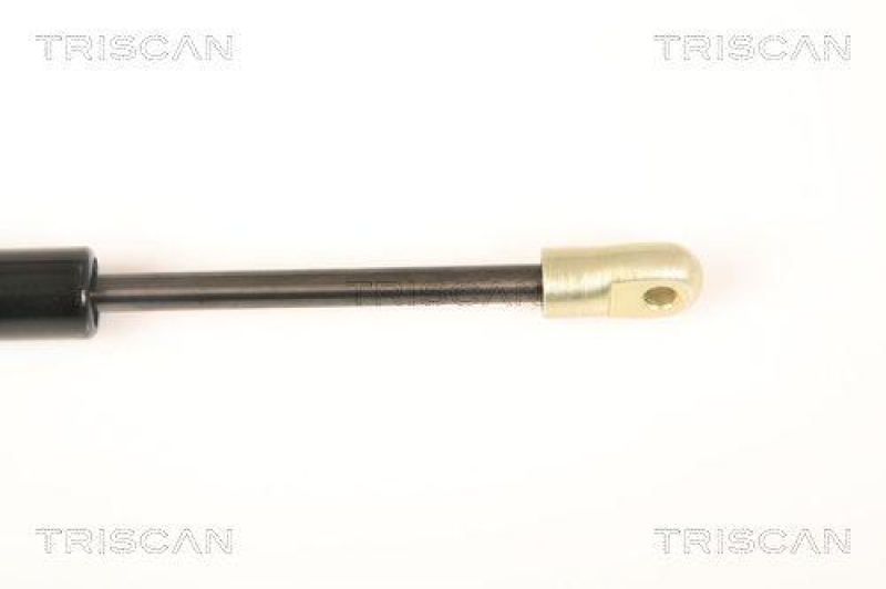 TRISCAN 8710 20201 Gasfeder Hinten f&uuml;r Porsche 911 With Spoiler