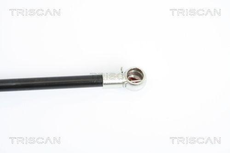TRISCAN 8710 23214 Gasfeder Hinten f&uuml;r Mercedes 211 T-Model