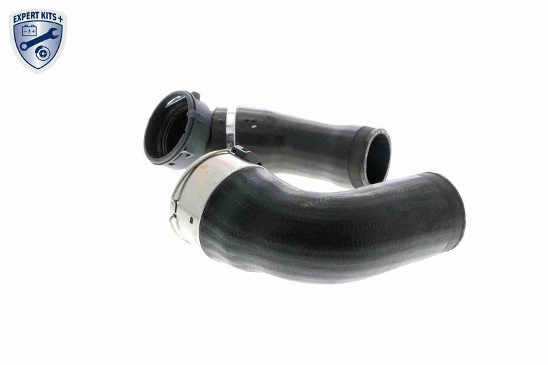 VAICO V20-1616 Ladeluftschlauch für BMW