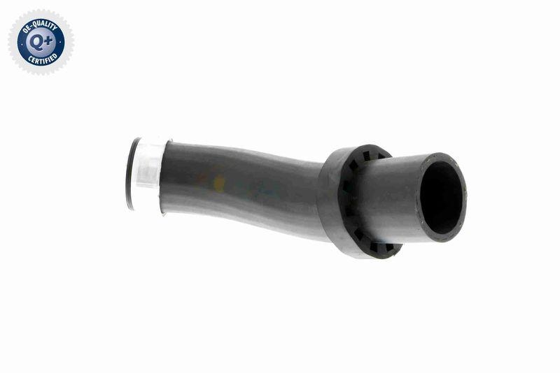 VAICO V20-1619 Ladeluftschlauch f&uuml;r BMW