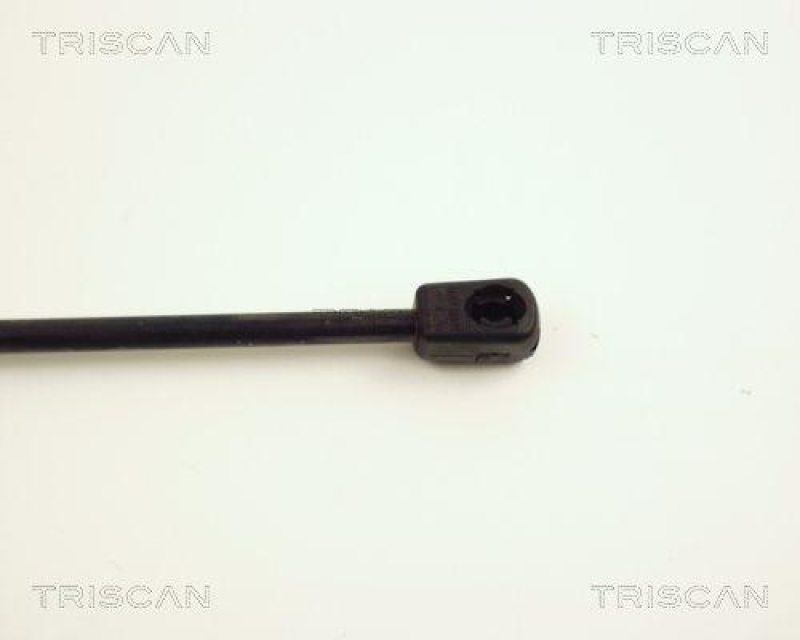 TRISCAN 8710 24223 Gasfeder Hinten für Opel Corsa C