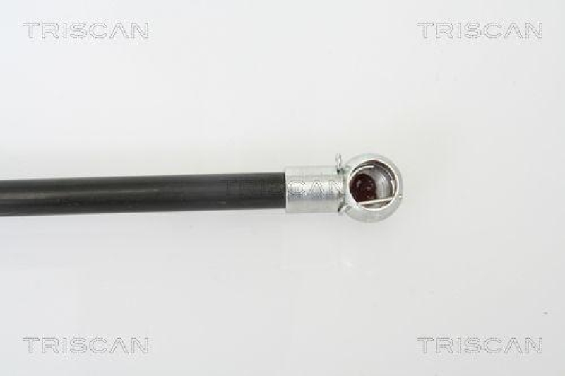 TRISCAN 8710 24227 Gasfeder Hinten für Opel Meriva