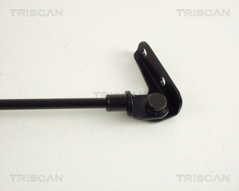 TRISCAN 8710 69203 Gasfeder Hinten für Suzuki Swift Ii