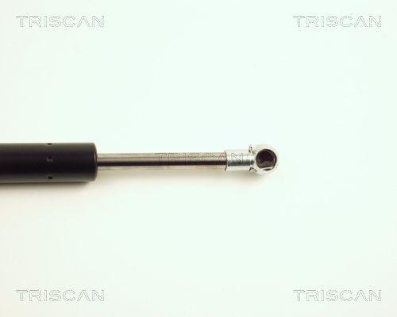 TRISCAN 8710 25212 Gasfeder Hinten f&uuml;r Renault Megane Coup&eacute;