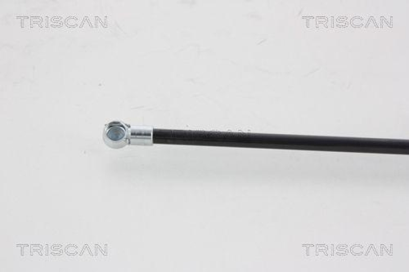 TRISCAN 8710 25221 Gasfeder Hinten f&uuml;r Renault Kangoo