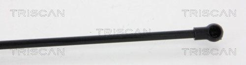 TRISCAN 8710 25239 Gasfeder Hinten f&uuml;r Renault Kangoo