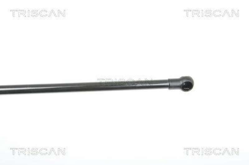 TRISCAN 8710 25240 Gasfeder Hinten f&uuml;r Renault Modus