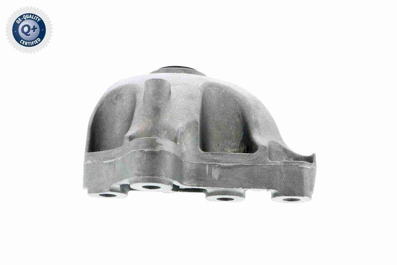 VAICO V30-2342 Lagerung, Motor oben vorne - Fahrzeugabh&auml;ngige Einbausei f&uuml;r MERCEDES-BENZ