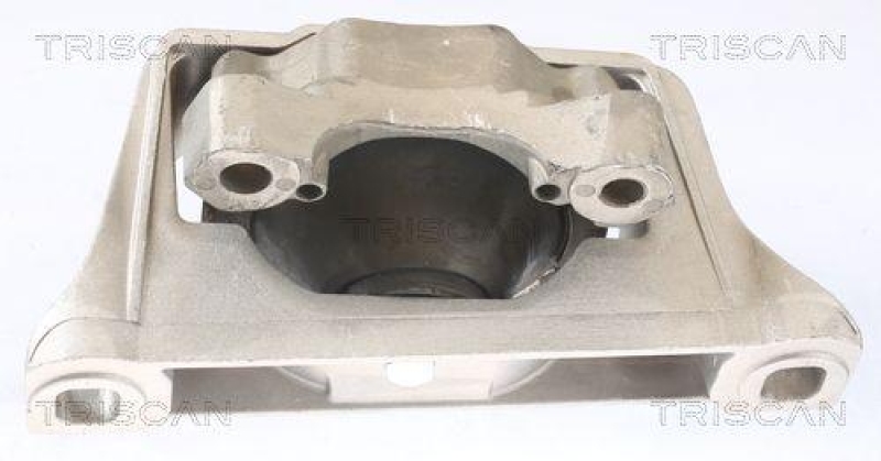 TRISCAN 8505 16104 Motoraufh&auml;ngung f&uuml;r Ford