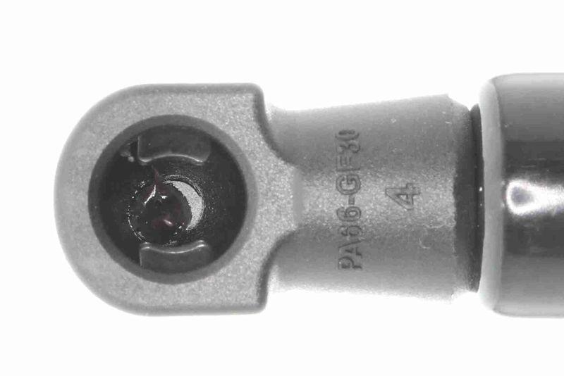 ACKOJA A38-0338 Gasfeder, Koffer-/Laderaum für NISSAN