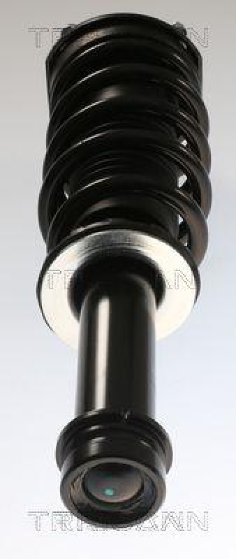 TRISCAN 8705 81107 Triscan Sto&szlig;d&auml;mpfer f&uuml;r Tesla