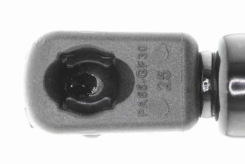 ACKOJA A53-0010 Gasfeder, Koffer-/Laderaum für KIA