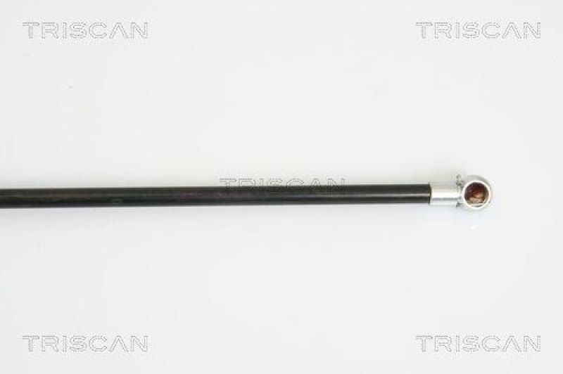 TRISCAN 8710 28233 Gasfeder Hinten f&uuml;r Peugeot 206 Cc