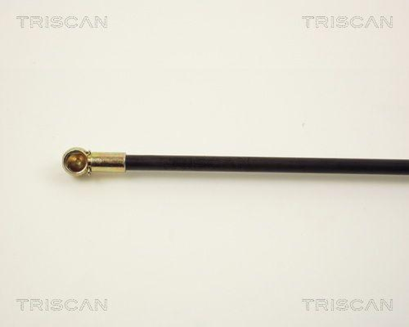 TRISCAN 8710 2910 Gasfeder Hinten für Vw Transporter