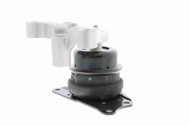 VAICO V10-0787 Lagerung, Motor Hydrolager rechts f&uuml;r SKODA