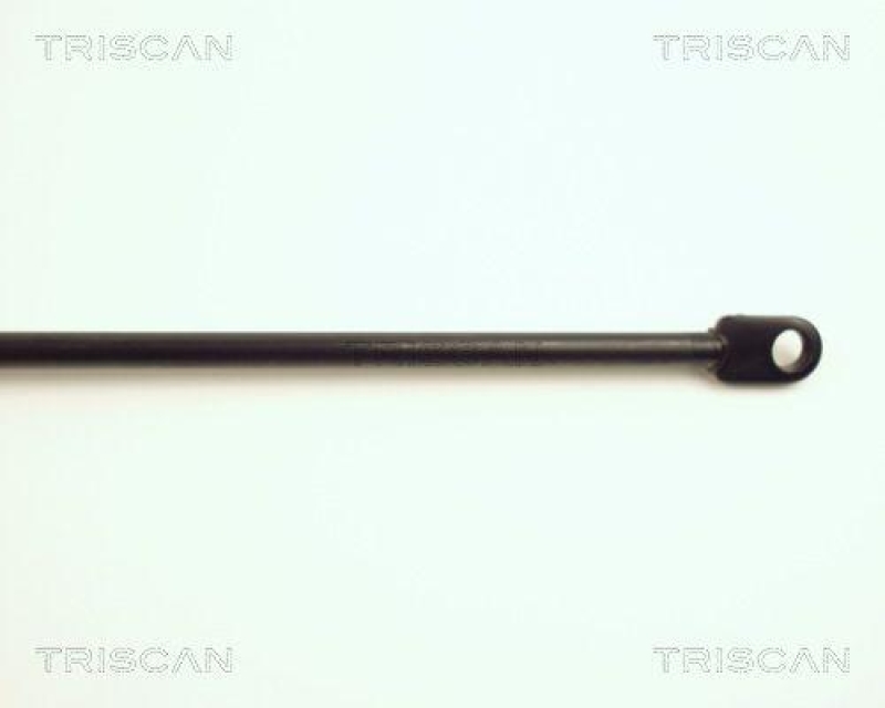 TRISCAN 8710 29103 Gasfeder Vorne für Audi 80, Avant / Quattro
