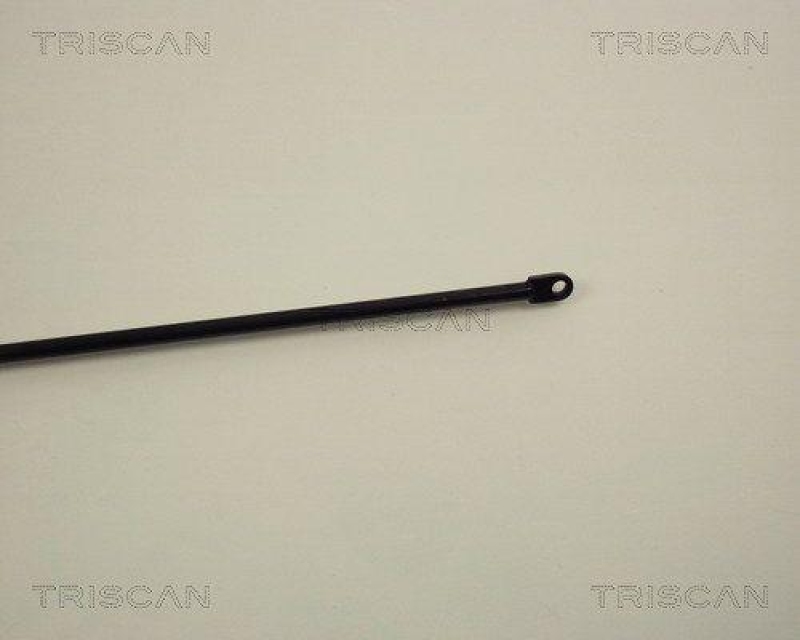 TRISCAN 8710 1004 Gasfeder Vorne für Audi 100, 100 Avant, 200