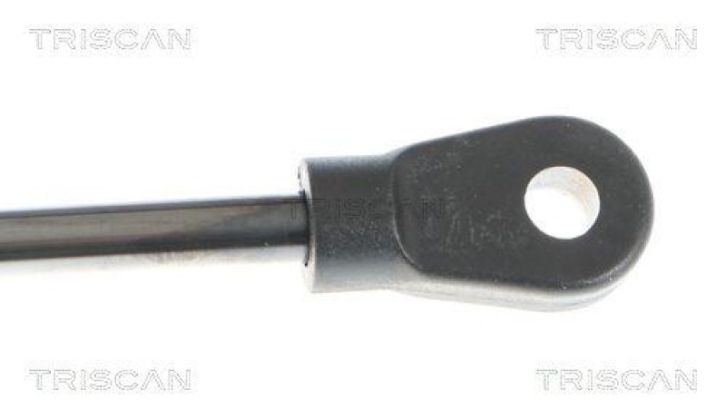 TRISCAN 8710 29105 Gasfeder Vorne für Audi A4, A4 Avant
