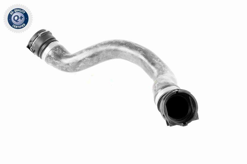 VAICO V20-1754 K&uuml;hlerschlauch f&uuml;r BMW