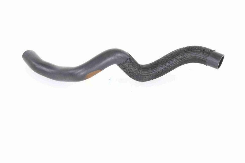 VAICO V46-1631 K&uuml;hlerschlauch f&uuml;r RENAULT