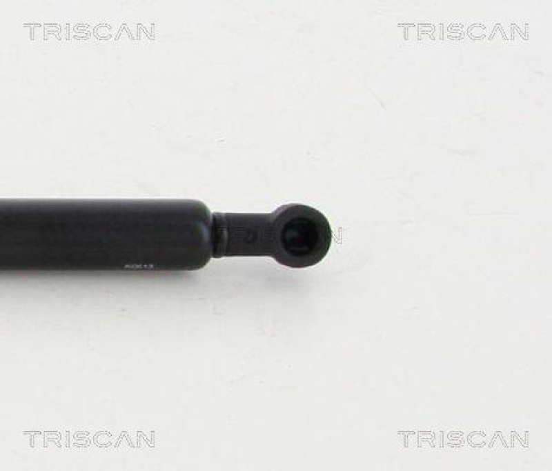 TRISCAN 8710 11131 Gasfeder Vorne für Bmw Z4