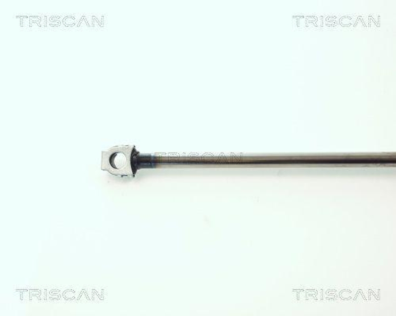 TRISCAN 8710 11202 Gasfeder Hinten für Bmw 5 Serie E34
