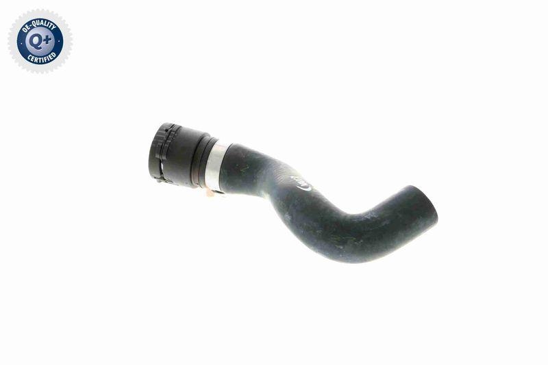 VAICO V20-1771 K&uuml;hlerschlauch f&uuml;r BMW