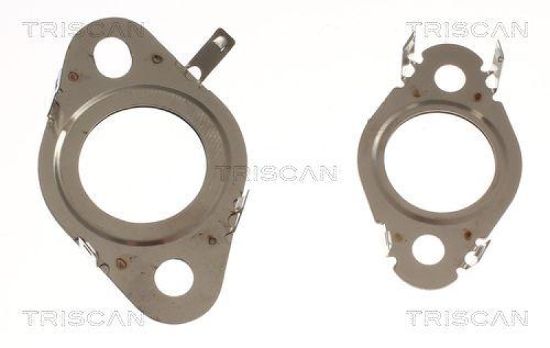 TRISCAN 8811 29000 Rep. Satz, Agr-Modul 8813 29347 f&uuml;r Vag