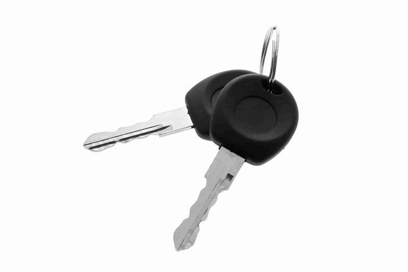 VAICO V10-6167 T&uuml;rau&szlig;engriff links mit Schlie&szlig;zylinder f&uuml;r VW