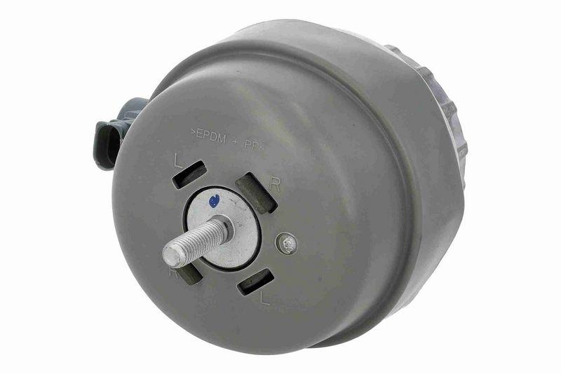 VAICO V10-9159 Lagerung, Motor vorne rechts für VW