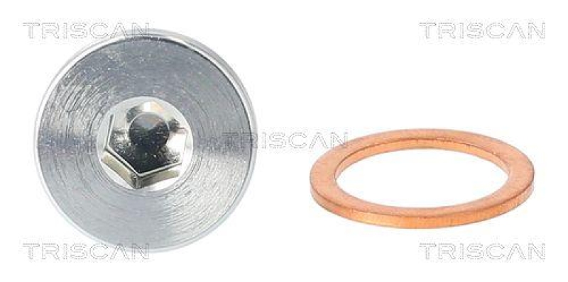 TRISCAN 9500 1106 &Ouml;lablassschraube f&uuml;r Bmw