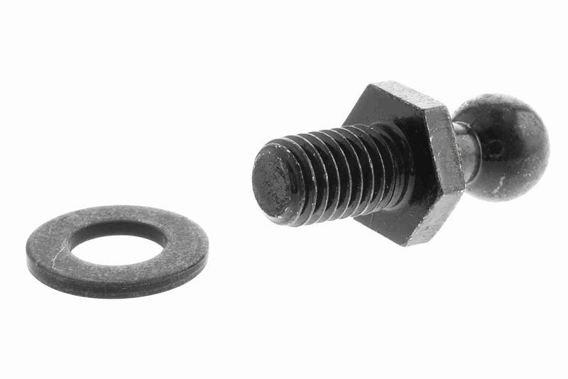 ACKOJA A70-0111 Gasfeder, Koffer-/Laderaum für TOYOTA