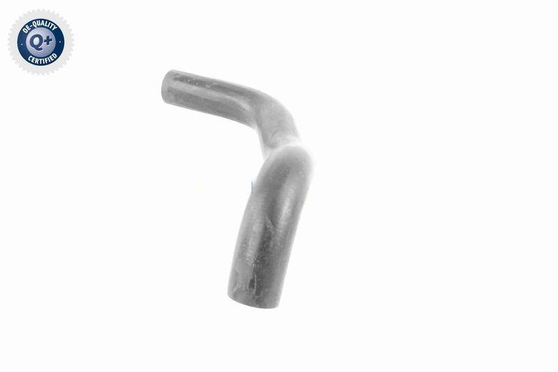 VAICO V30-0251 K&uuml;hlerschlauch K&uuml;hler, Anschlu&szlig; unten f&uuml;r MERCEDES-BENZ