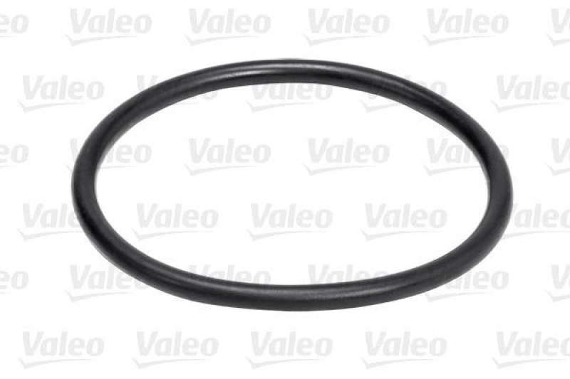 VALEO 506886 Wasserpumpe AUDI A3 2-SERIES 2.0 TDI