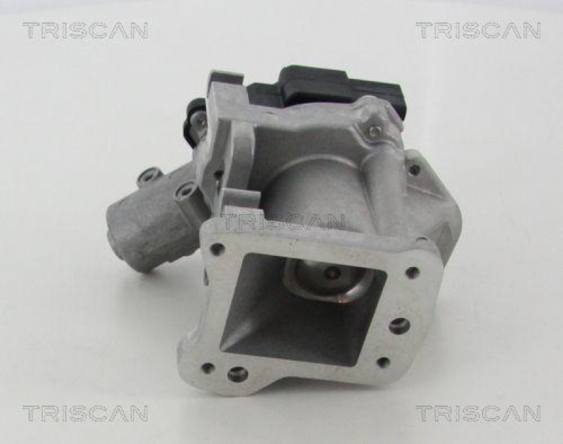 TRISCAN 8813 10007 Agr Ventil f&uuml;r Ford/Volvo/Mazda