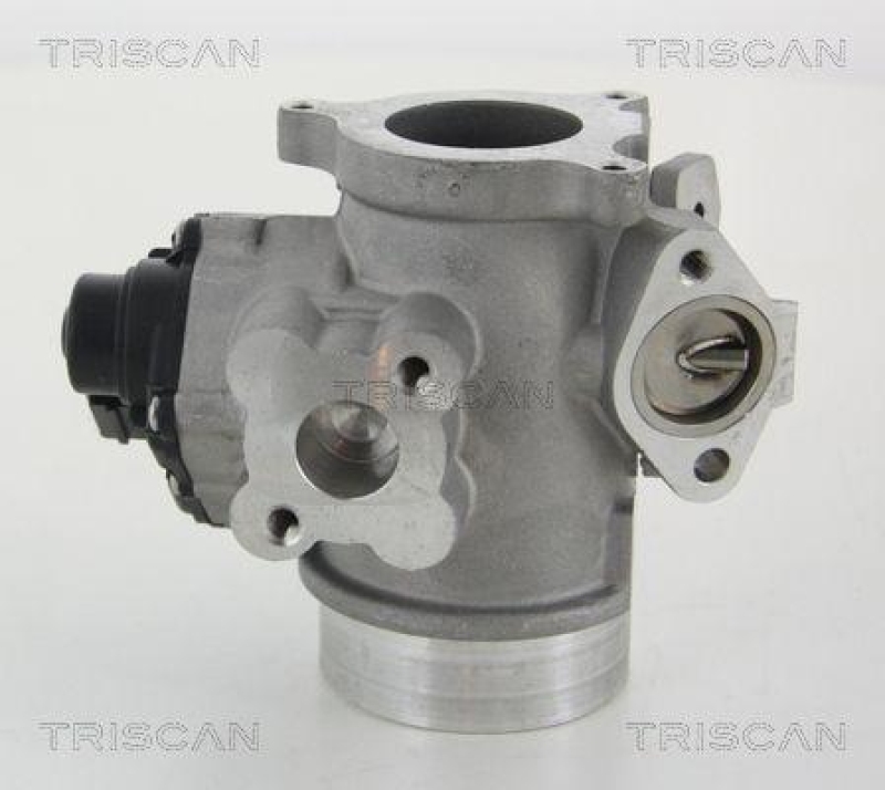 TRISCAN 8813 10012 Agr Ventil f&uuml;r Nissan/Renault/Opel
