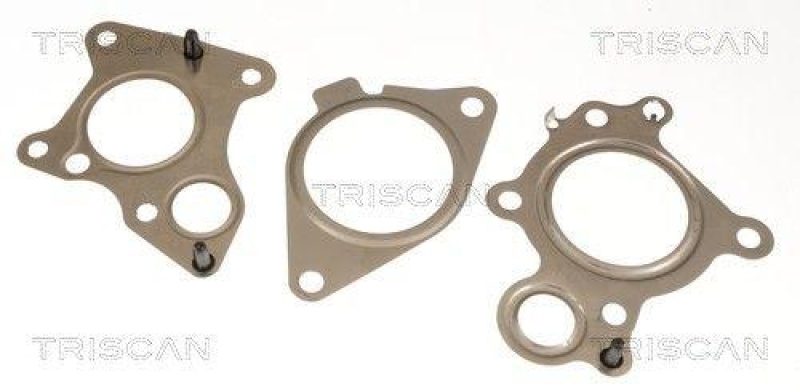 TRISCAN 8813 11007 Agr Ventil f&uuml;r Bmw