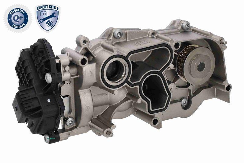 VAICO V10-50114 Wasserpumpe + Zahnriemensatz mit Dichtung, Zahnriemen und Schrauben für VW